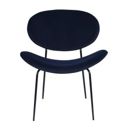 Upholstered Side Chair(D0102HPYLL7)