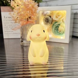 Cartoon Luminous Night Market Stall Led Small Night Lamp Christmas Gift (Option: Cinnamon Rabbit)