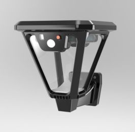 New Chinese Style Outdoor Solar Wall Lamp Courtyard Garden Decoration (Option: 083White light 100LED-2400mA-2PCS)
