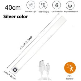 Plastic Night Light Cabinet Lower Motion Sensor Night (Option: Silver40CM-WarmWhite3000K)