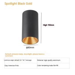 Thigh High Anti-glare Punch Free Ceiling Living Room Aisle Surface Mounted Spotlight (Option: 10w White Light 5700k-Black Gold)